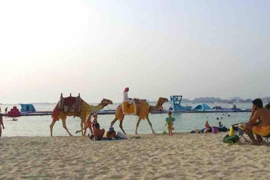 Your Cosy Marina Apartment Dubai